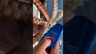 Giant Squid Bites Soda Can