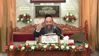 זרע שמשון - פרשת במדבר הכנה למתן תורה - הרב יוסף חיים אוהב ציון