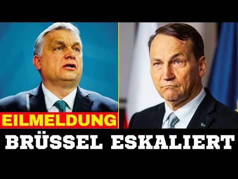 „Ungarn hat seine eigene Geschichte verraten“: Sikorski greift Orbán scharf an