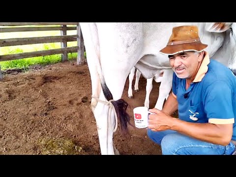 Seu Leôncio nortão de Minas Gerais taiobeiras amando viver assim…