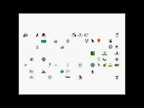 バードライフ・インターナショナル - 定義