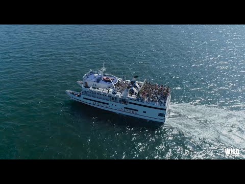 Glasse dj set @ Big Boat Party - Gdynia [14.07.2019]