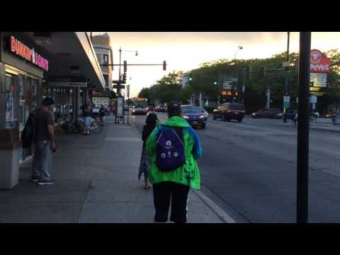 Cta 81 Bus