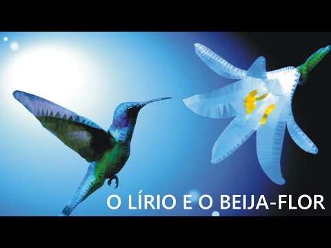 O Lírio E O Beija - flor - Celso Lira