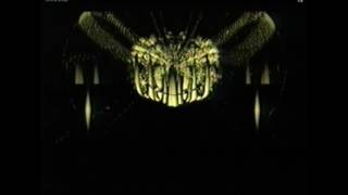 Majesty - Fist Of Steel [320kbps]