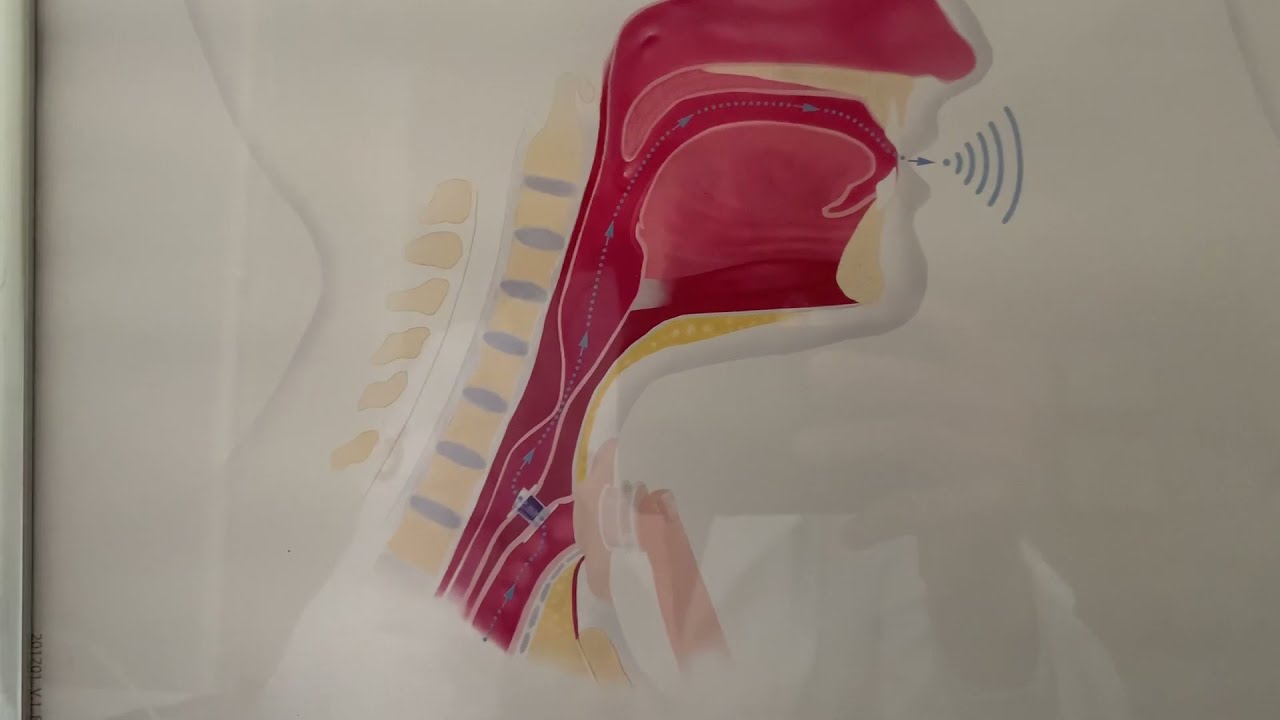 Giulianno Molina De Melo-78