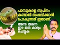 പാമ്പുകളെ സ്വപ്നം കണ്ടാലുള്ള ഫലം അടു