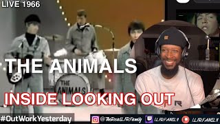 The Animals - Inside Looking Out (Live 1966) | Reaction