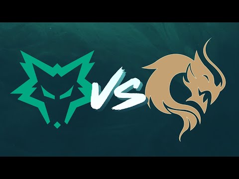 Dire Wolves vs Peace | Day 2 Week 3 | 2023 LCO Split 1