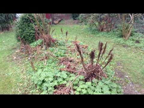 Worx Landroid S - Insel 1