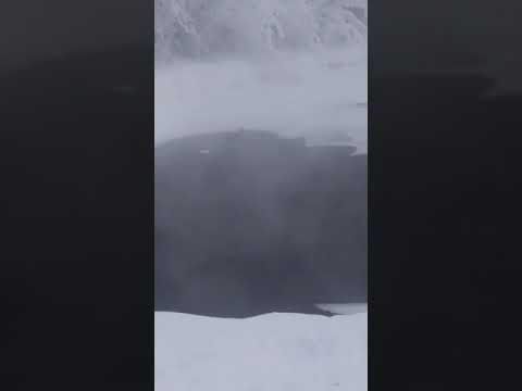 Видеофакт: одинокая утка выживает в Оймяконе в 60-градусные морозы