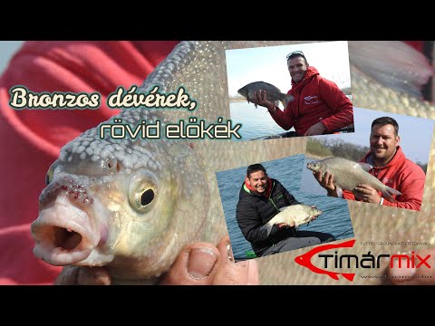 Bronzos dévérek, rövid előkék by Timár Mix