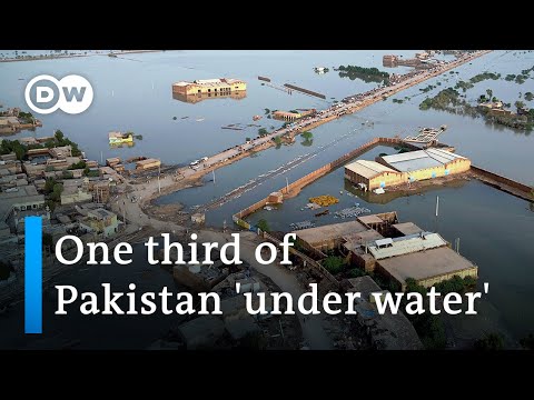 Pakistan struggles to cope with worst monsoon floods in decades | DW News