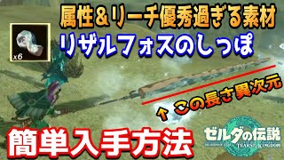 属性＆リーチが優秀過ぎる「リザルフォスのしっぽ」ご存知か！？（ティアキン）【ゼルダの伝説　ティアーズ オブ ザ キングダム】