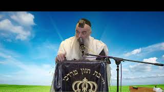הרב מאיר דוד שמואלי -  הישועה תפילה!