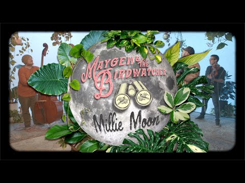Millie Moon - Maygen & The Birdwatcher