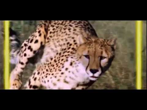 SIAMO PERSONAGGI VIRTUALI DI UN COMPUTER ALIENO?