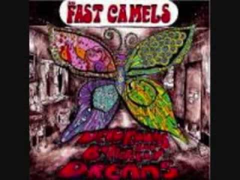 The Fast Camels - DONNIE'S HEARSE CURSE