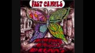 The Fast Camels - DONNIE'S HEARSE CURSE