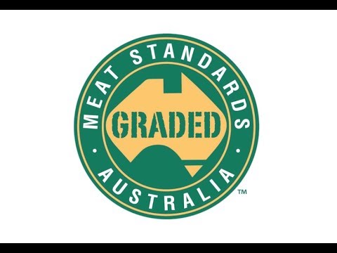 MyMSA Series FAQ: The MSA Graded Symbol