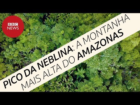 BBC acompanha 1ª grande expedição científica ao Pico da Neblina