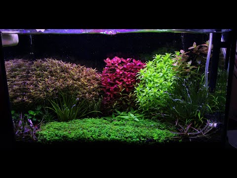 S02E02. Tropicek (2,0) Substrat z recyclingu - wystart.