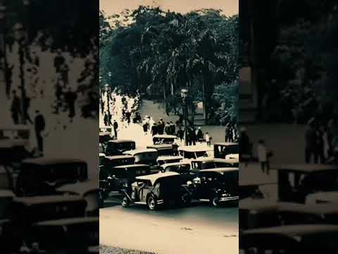 Inauguración Parque 3 de Febrero