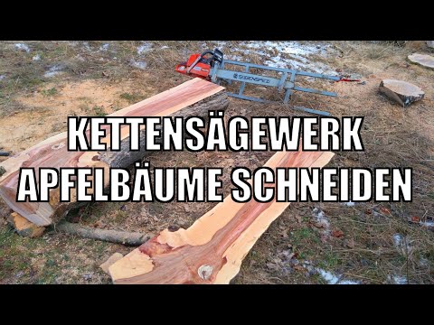 Obstbäume fällen & mit Kettensägewerk zu Bohlen schneiden [001]