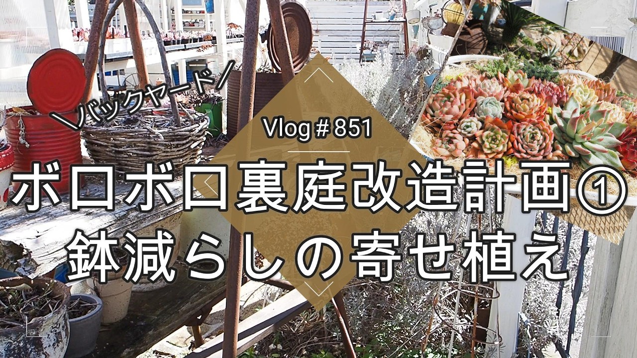 【Vlog851】【多肉植物】ボロボロ裏庭改造計画①鉢減らしの寄せ植え【南側板塀エリア】
