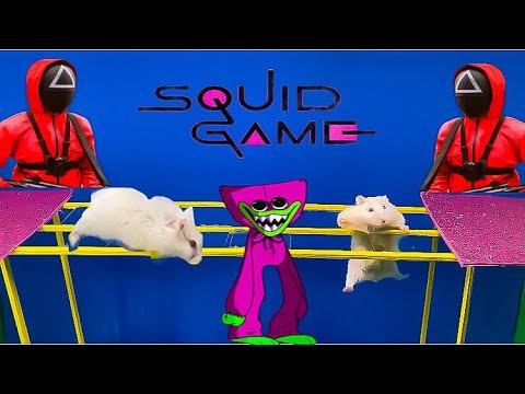 Squid Game vs Poppy Playtime 🐹 Huggy Wuggy vs Hamster Maze ☠️ Escape from the Among us Prison ✋