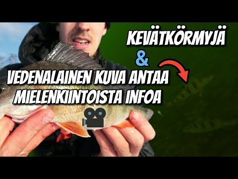 Kevään ensimmäinen pilkkireissu merellä + Vedenalaista videokuvaa ahvenien käytöksestä