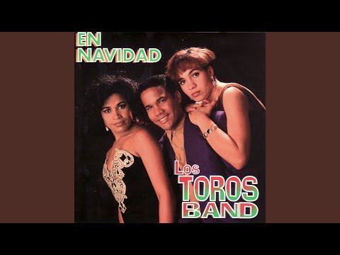 Poppuri De Boleros 4 - Los Toros Band