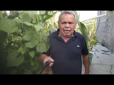 SÍTIO TRINCHEIRA MUNICÍPIO DE DOUTOR SEVERIANO RIO GRANDE DO NORTE