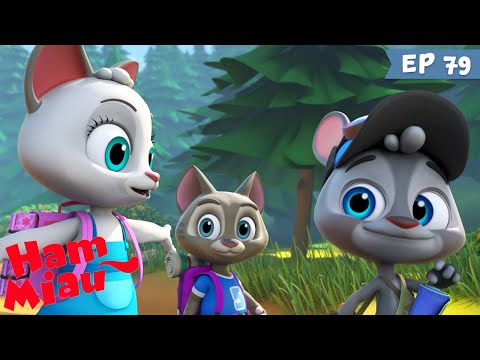 Ham Miau 🐶 Un moment de slabiciune 🐱 Desene pentru copii | HeyKids