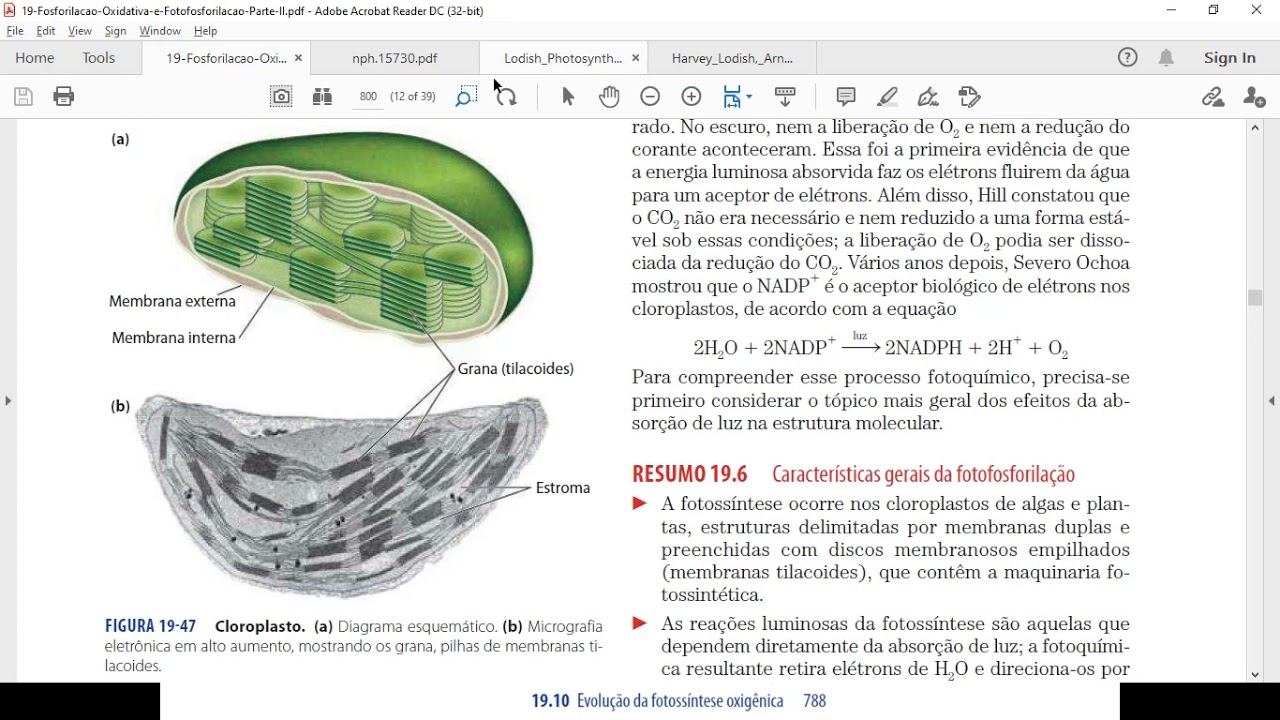 ACH5543 Aula 8 - Fosforilação Oxidativa e Fotofosforilação - Parte 2