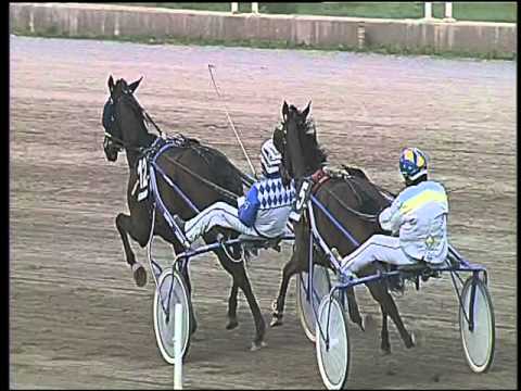 Trotto 28/02/2016 - 3° corsa