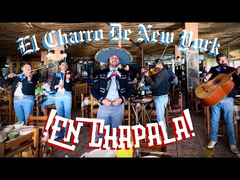 Promotional video thumbnail 12 for Mariachi El Charro De NY