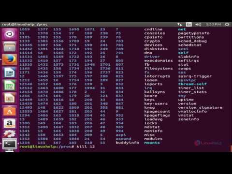 How to explore /proc File system in Linux | LinuxHelp Tutorials