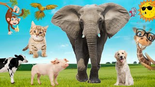 Sounds of wild animals | Elephant, Cow, Horse, Duck,  Chicken,  Cat, Dog, Owl...