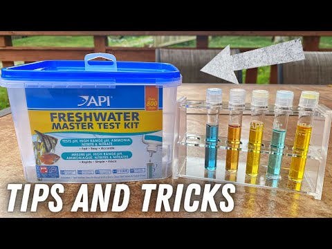 API Aquarium Master Test Kit - What you NEED to know
