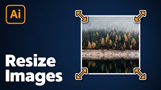 How to Resize Images in Illustrator