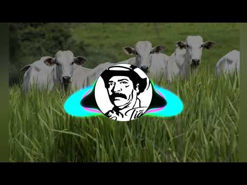 Tião Carreiro & Pardinho  As Três Cuiabanas