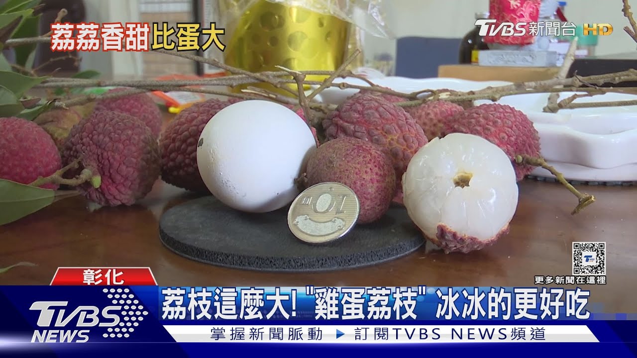 荔枝這麼大! 「雞蛋荔枝」冰冰的更好吃