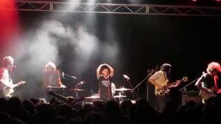 Pond - Whatever Happened to the Million Head Collide?