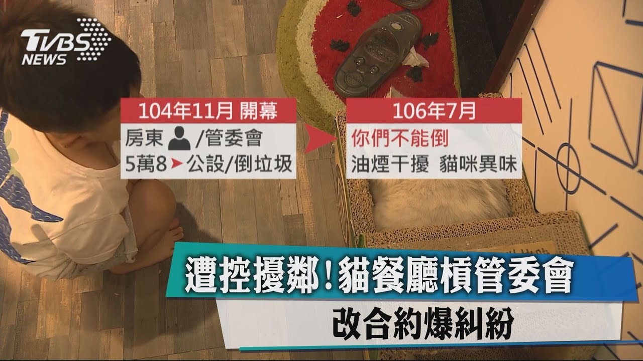 遭控擾鄰！貓餐廳槓管委會　改合約爆糾紛