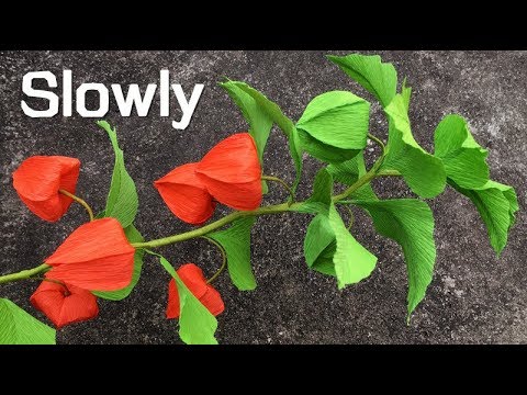 ABC TV | How To Make Physalis Alkekengi Flower From Crepe Paper (Slowly) - Craft Tutorial