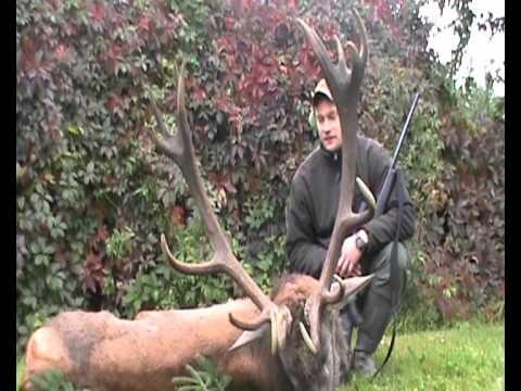 4 Jäger und 4 kapitale Hirsche liegen auf der Strecke!