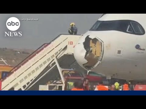 Bird strike forces emergency landing