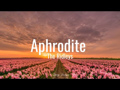 Aphrodite - The Ridleys (Lyrics)