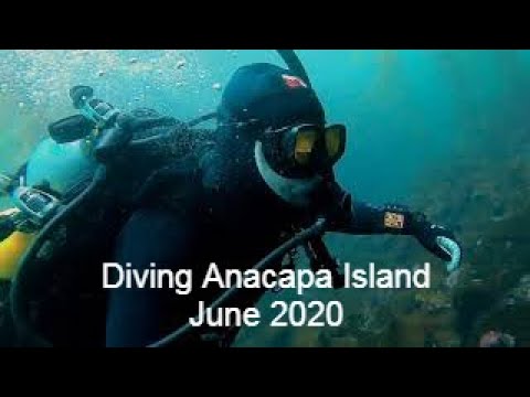 Diving Anacapa Island, Channel Islands National Park, California.  June 2020